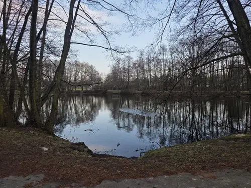 Staw Polkowiec