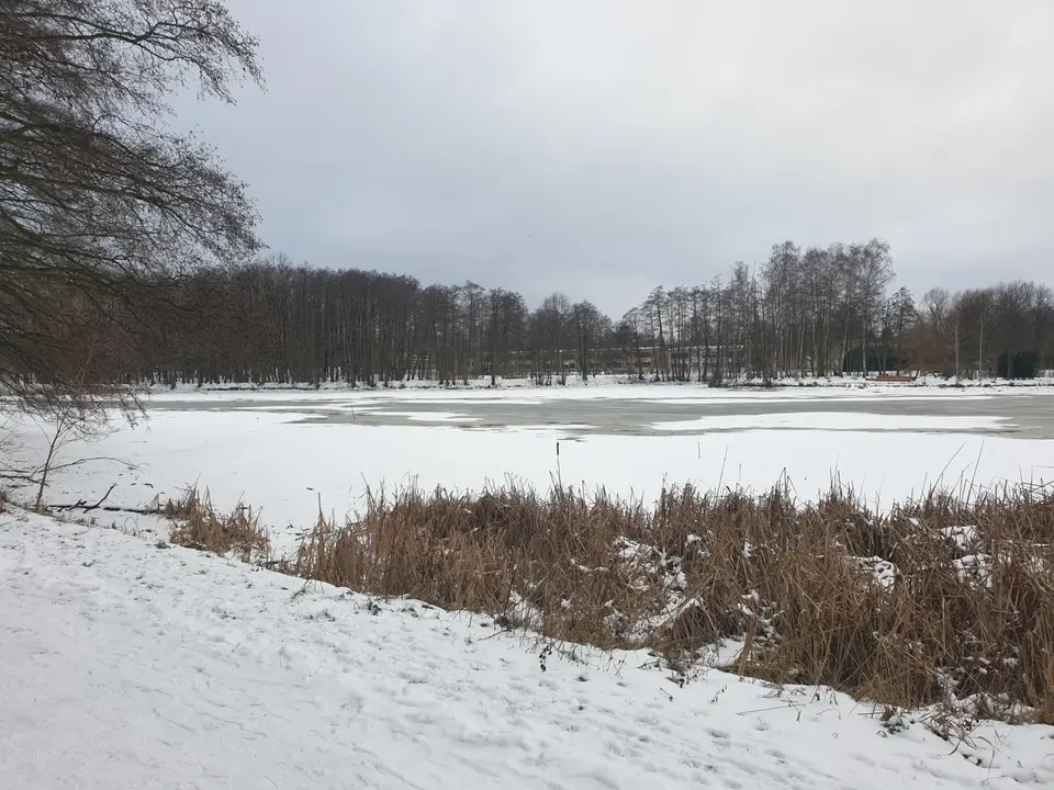 Staw zimą