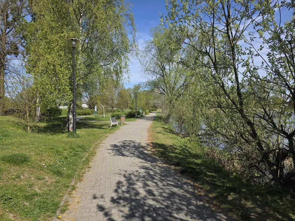 Aleja parkowa, po prawej staw, po lewej ulica Stoczniowców