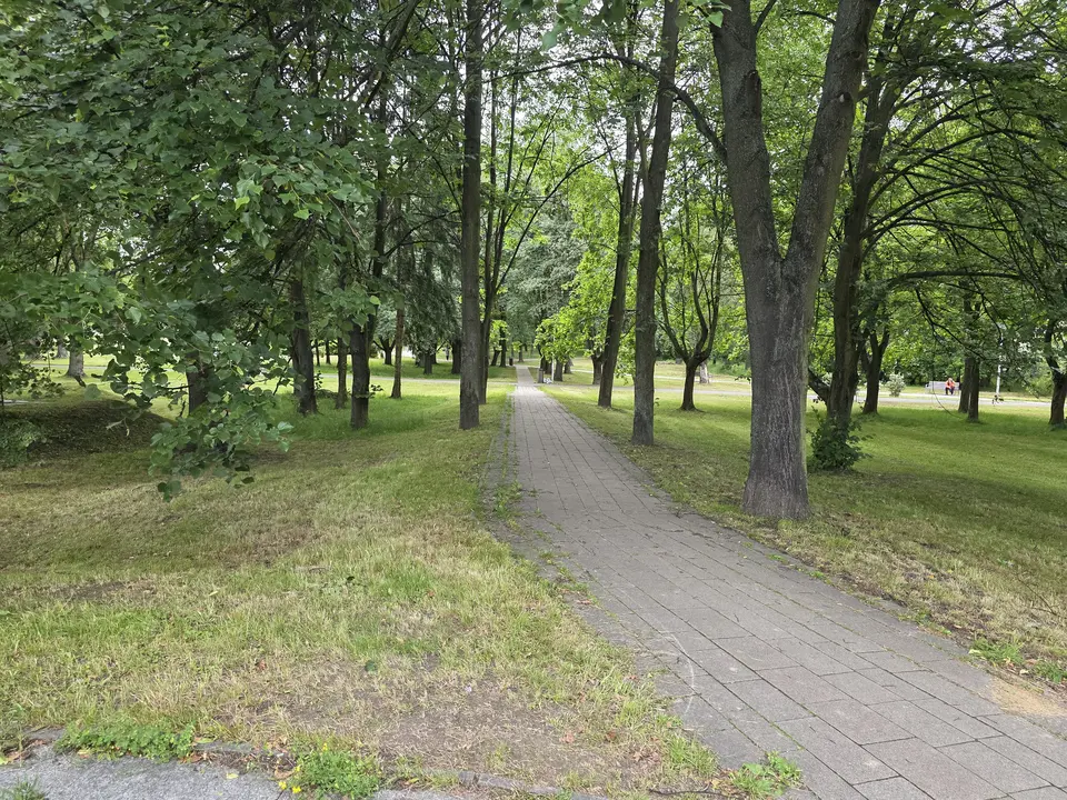 Aleja parkowa od strony parkingu UM Tychy