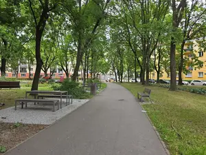 Aleja parku oraz miejsca na piknik
