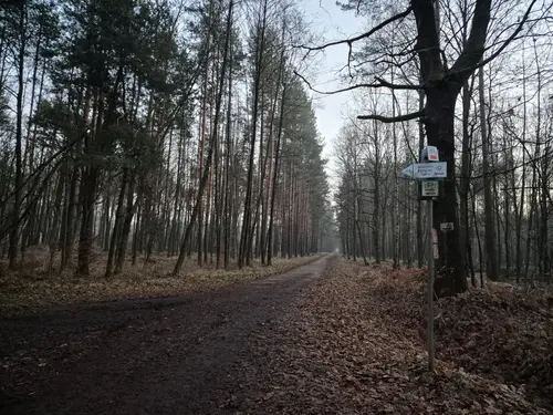 Droga na południe w kierunku jeziora Paprocańskiego