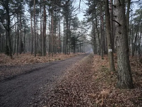 Droga na p&oacute;łnoc
