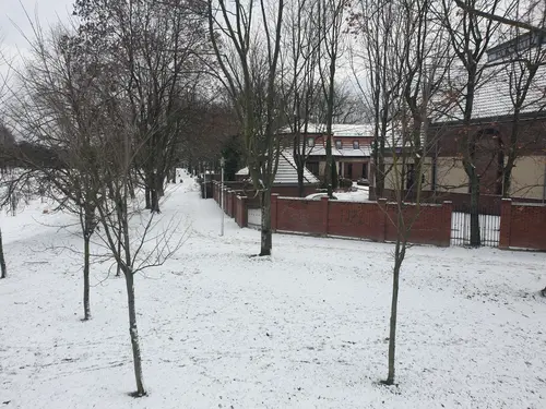 Widok na ścieżkę w parku za Kościołem Miłosierdzia Bożego