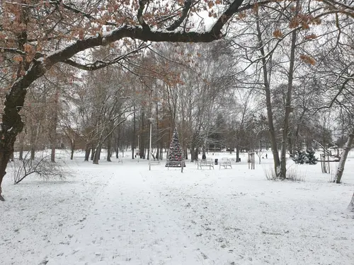 Świąteczna choinka, widok w stronę Stadionu