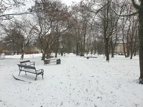 Widok na ławki, po prawej stronie ulica Hlonda