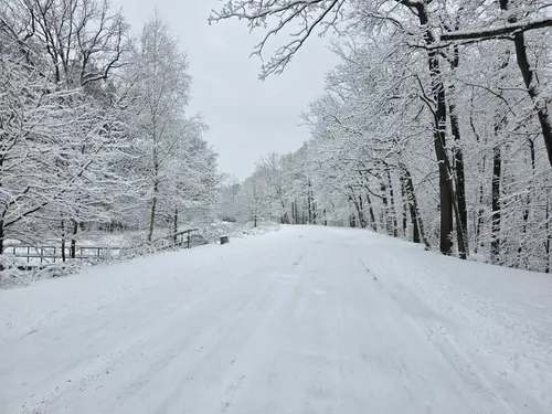 Droga nad jezioro zimą