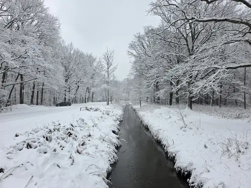 Widok z mostku nad Gostynką