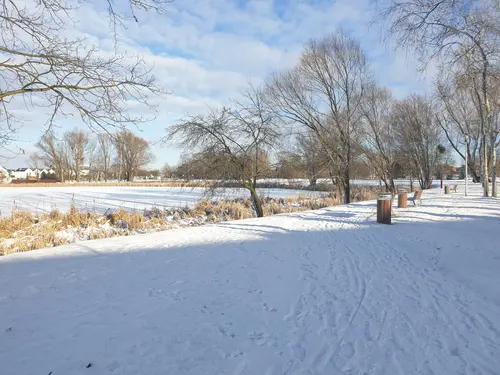Aleja parkowa zimą