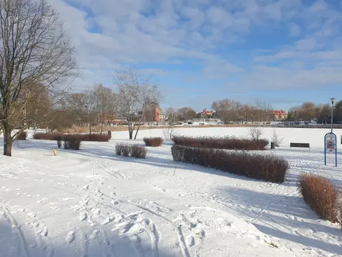 Staw zimą