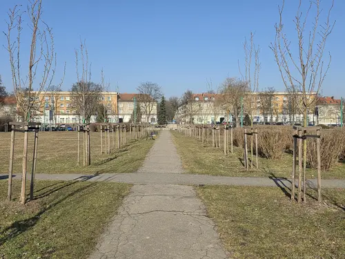 Aleja skweru. W oddali widać zabudowę osiedla A