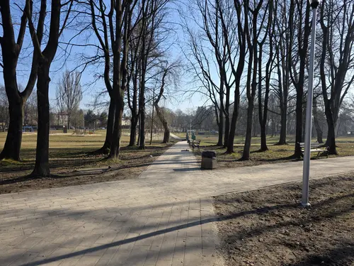 Skrzyżowanie alejek parkowych