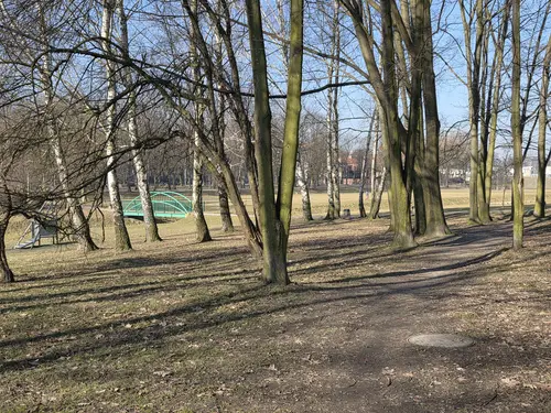 Widok między drzewami z lewej kawałek instalacji zjeżdżalni linowej