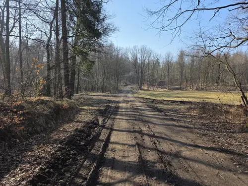 Trasa leśna