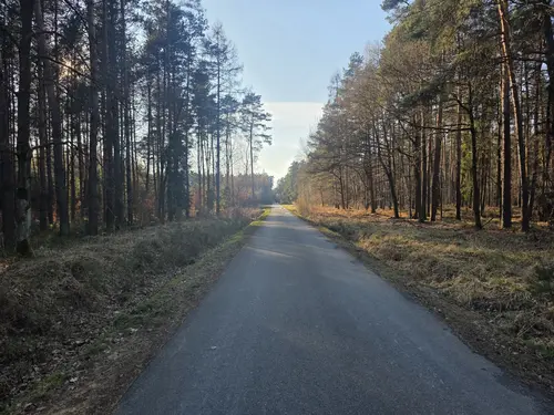 Trasa spacerowa