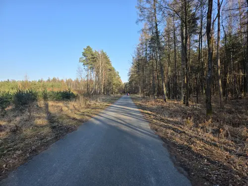 Droga w stronę Świerczyńca