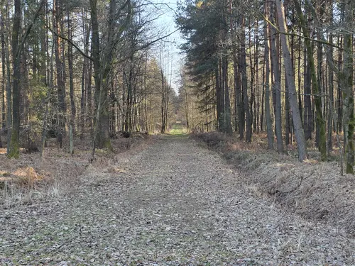 Droga na południe