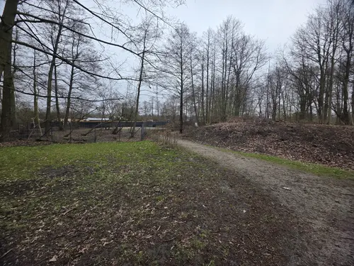 Widok wybiegu dla ps&oacute;w z parku