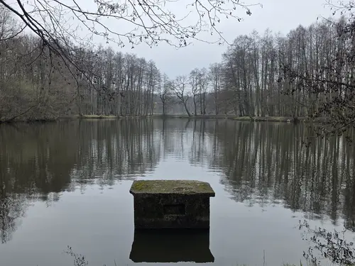 Staw