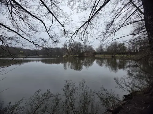Szerokie ujęcie stawu