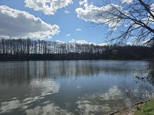 Staw, widok na południe