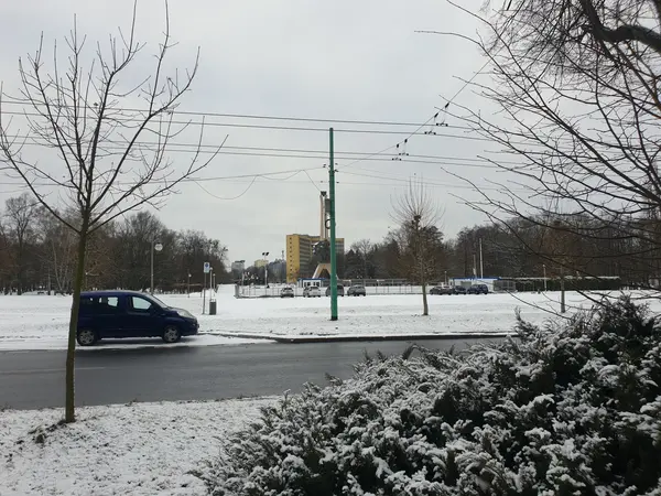 Park zimą. W tle lodowisko