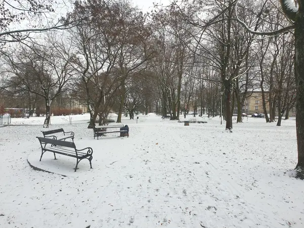 Widok na ławki, po prawej stronie ulica Hlonda