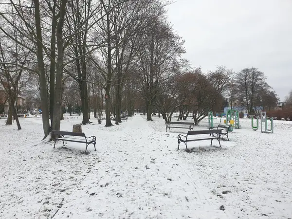 Widok na ławki oraz siłownię plenerową po prawej stronie