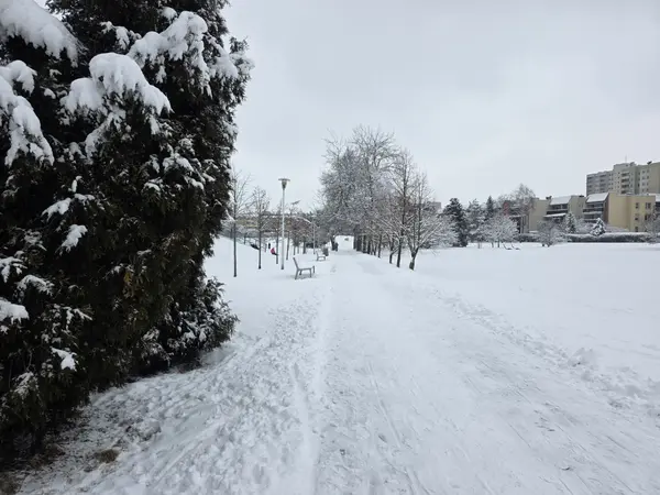 Aleja parkowa, po lewej g&oacute;rka saneczkowa