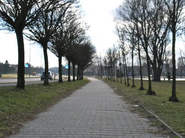 Aleja wzdłuż ulicy Stoczniowc&oacute;w