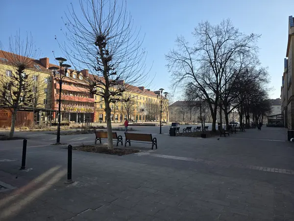 Widok od ulicy Bocheńskiego w stronę fontanny