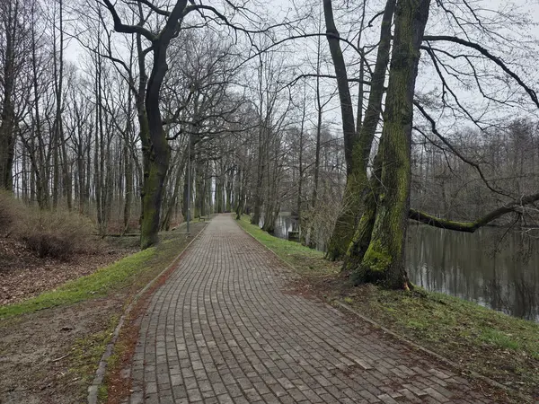 Staw po prawej stronie