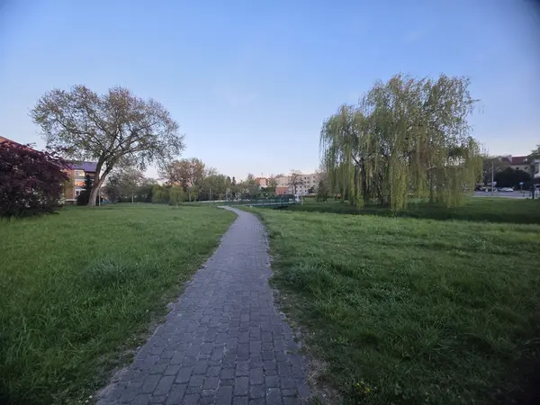 Jedna z alejek skweru