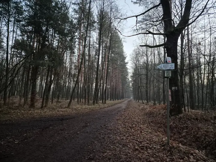 Droga na południe w kierunku jeziora Paprocańskiego