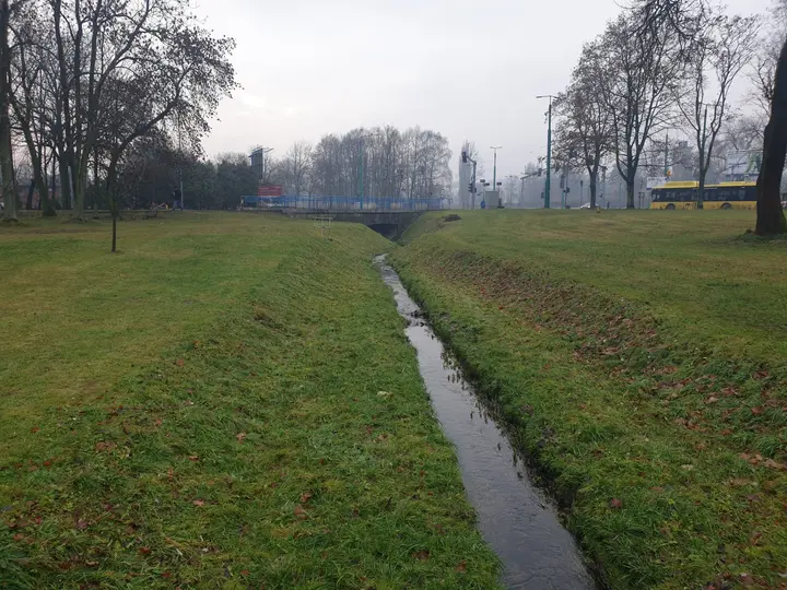 Potok wilkowyjski widok w stronę ulicy Burschego