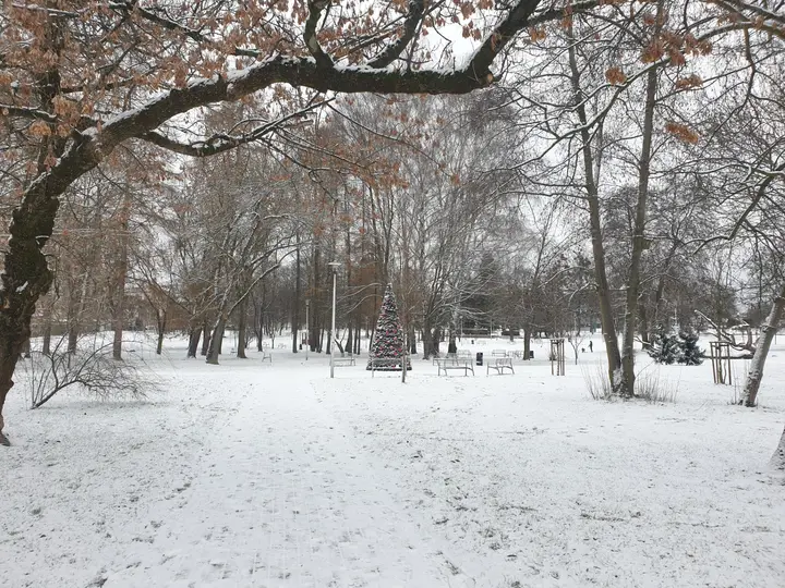 Świąteczna choinka, widok w stronę Stadionu