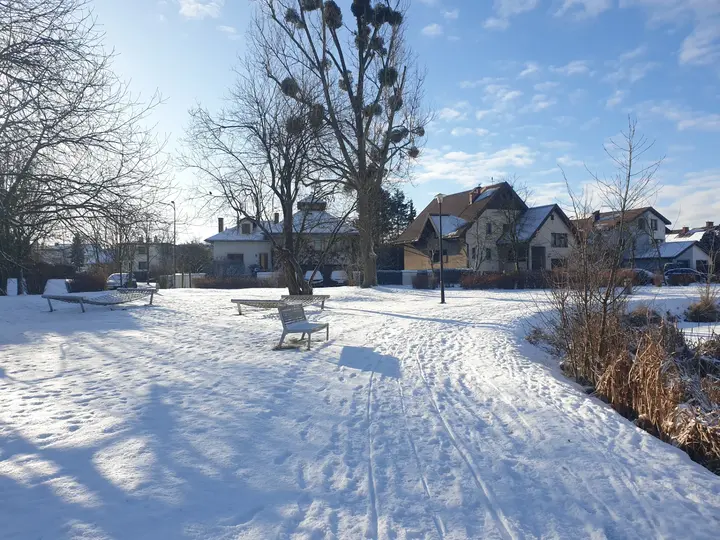 Aleja parkowa zimą