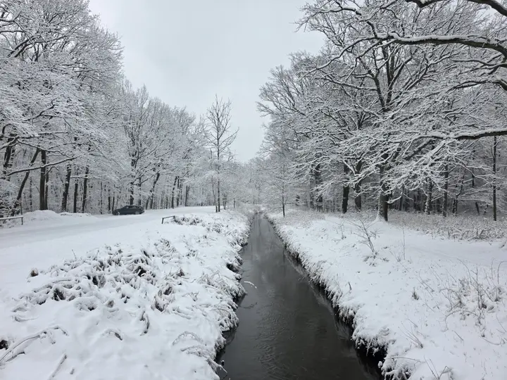 Widok z mostku nad Gostynką