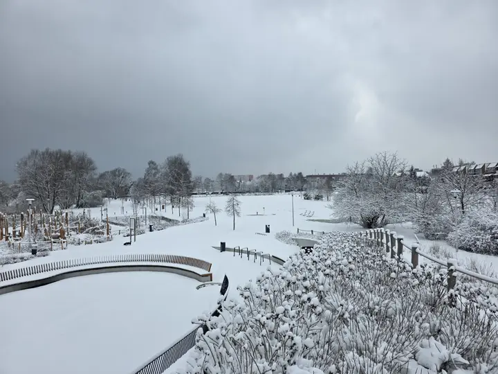 Z punktu widokowego