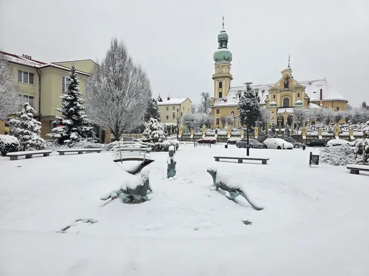 Widok na bazylikę pw. św. Marii Magdaleny