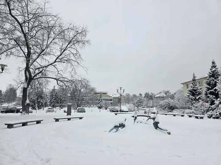 Fontanna przykryta śniegiem