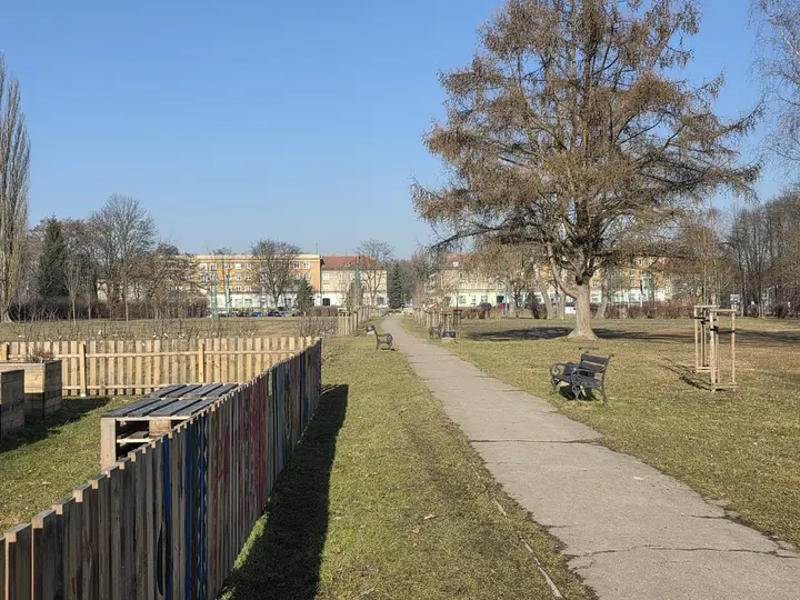 Aleja skweru, po lewej fragment Rodzinnego Sadu Miejskiego