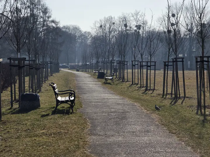 Aleja skweru z młodymi drzewami