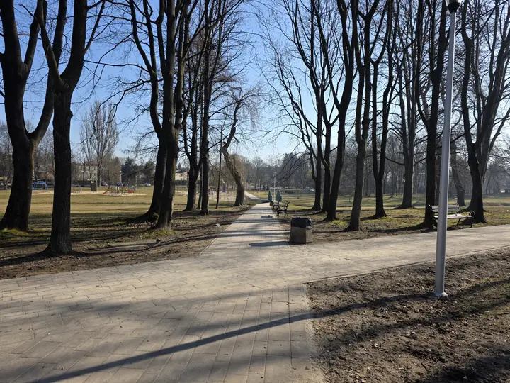 Skrzyżowanie alejek parkowych