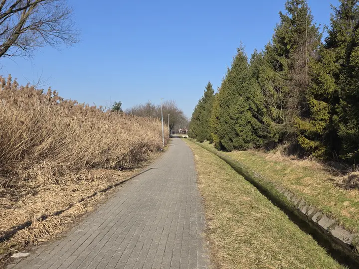 Trasa wzdłuż potoku Wilkowyjskiego