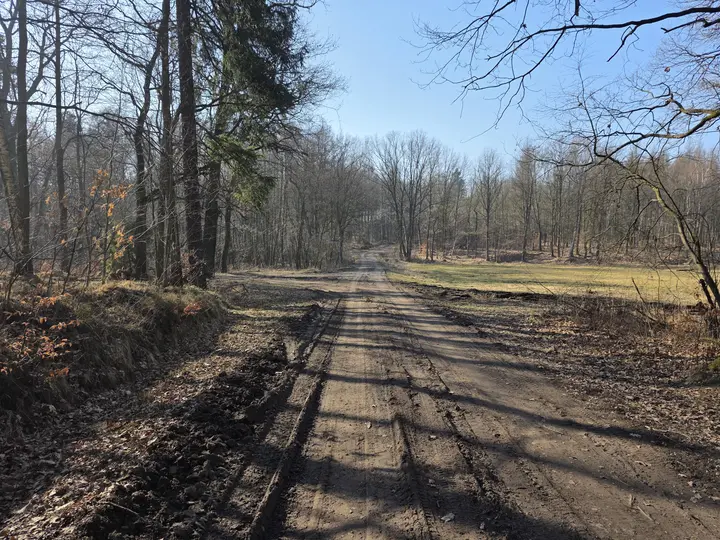 Trasa leśna