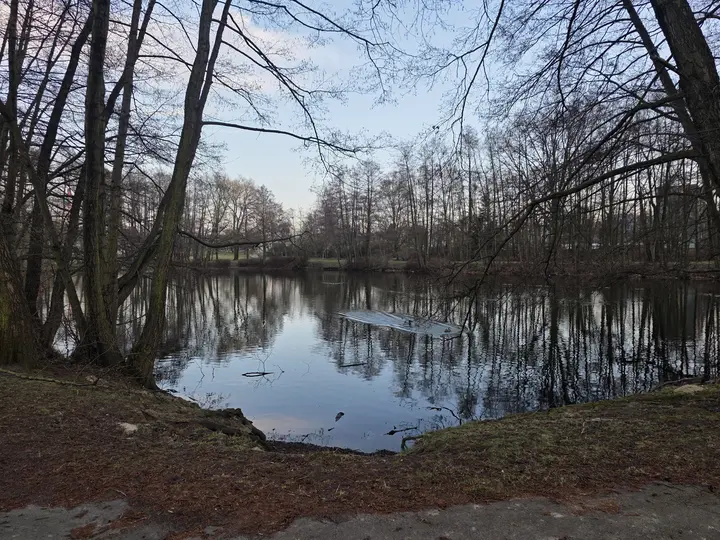 Staw Polkowiec