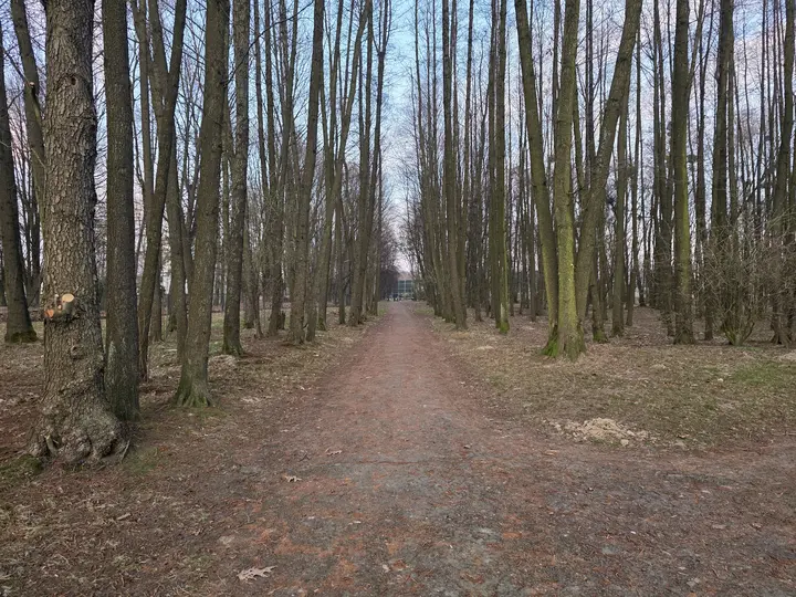 Aleja w stronę Beskidzkiej