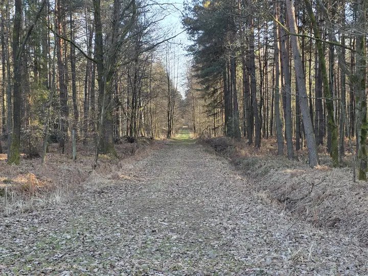 Droga na południe