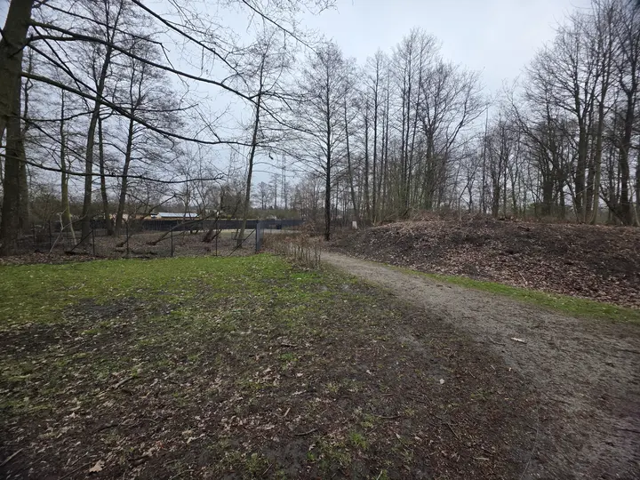 Widok wybiegu dla ps&oacute;w z parku